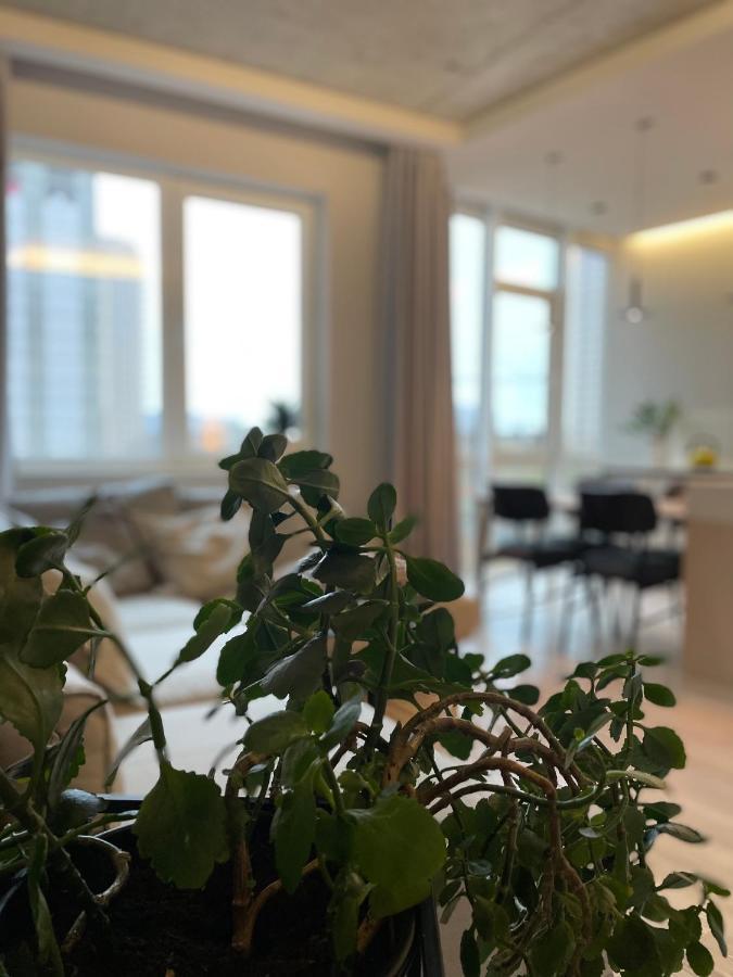 Arcadia Lägenhet Odessa Exteriör bild